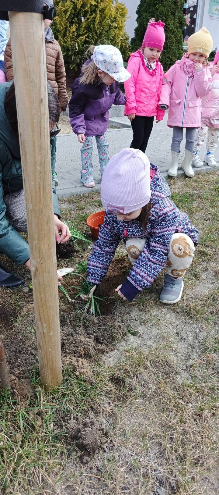 Sadzenie roślin z dziećmi przedszkole Tczew zajęcia przyrodnicze