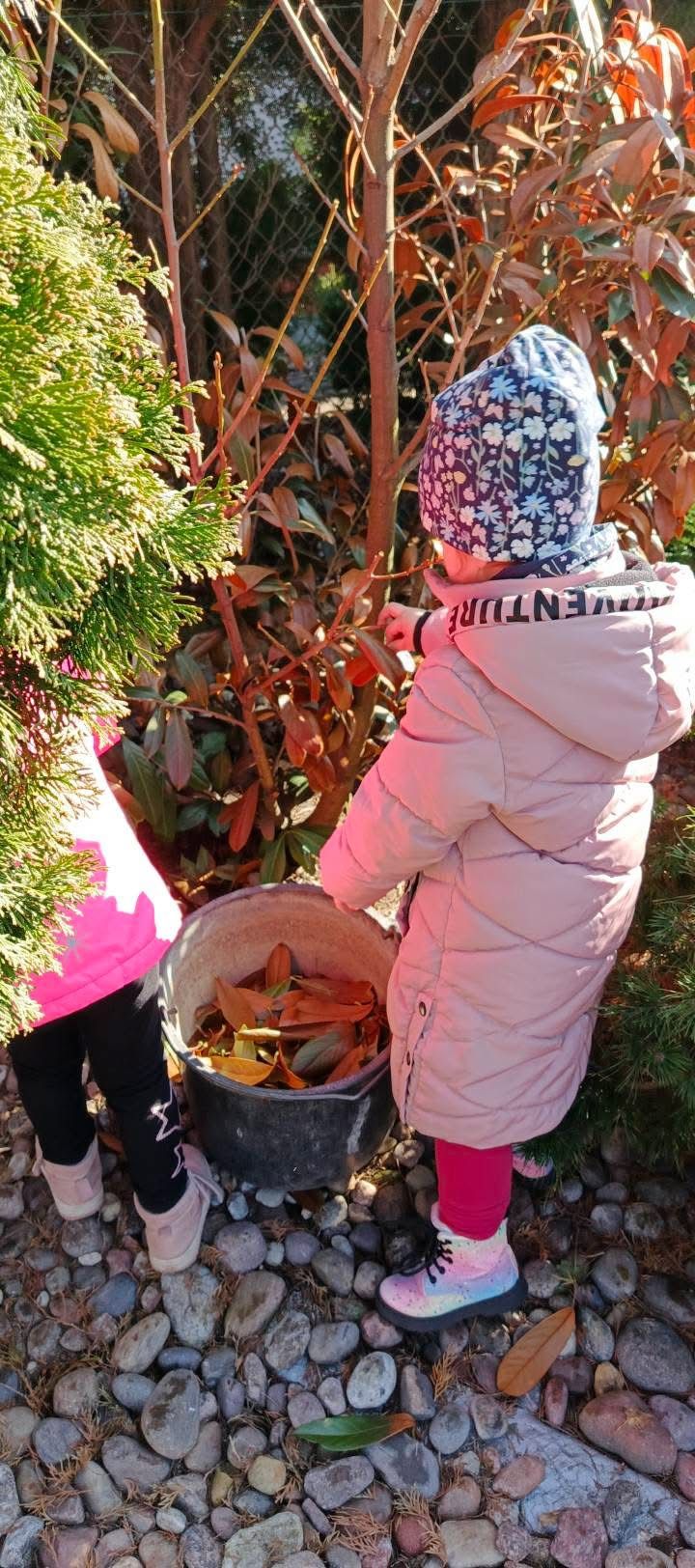 Dzieci porządkują ogród i zbierają liście w przedszkolu Tczew